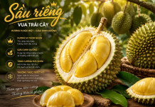 Ăn Sầu Riêng Có Giúp Tăng Chiều Cao Không?