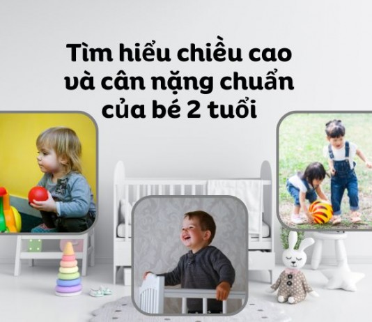Chiều cao và cân nặng chuẩn của bé 2 tuổi theo WHO mới nhất