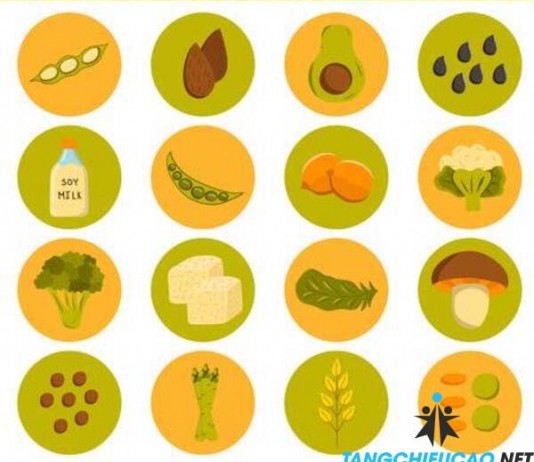 20+ Thực phẩm giàu Protein tốt cho sức khỏe nên ăn mỗi ngày