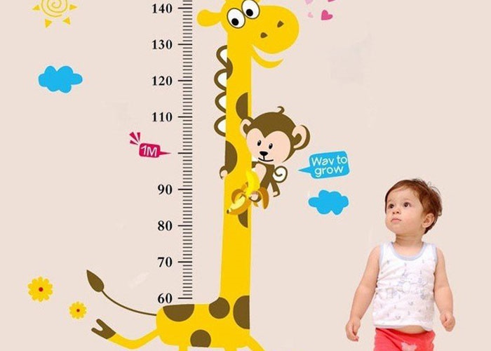 Đồ thị phát triển chiều cao của trẻ em